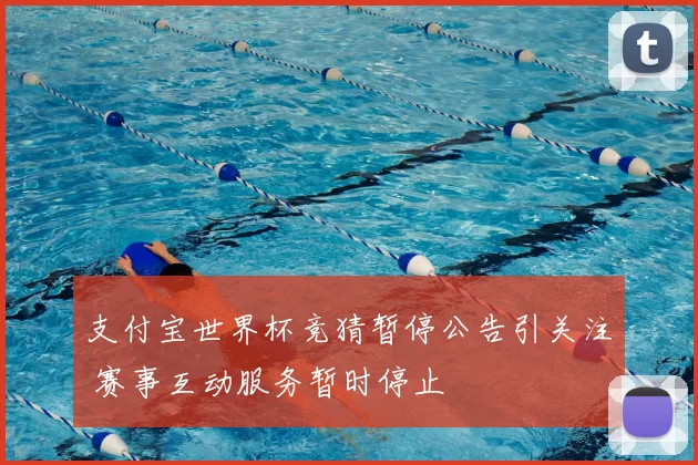 支付宝世界杯竞猜暂停公告引关注 赛事互动服务暂时停止