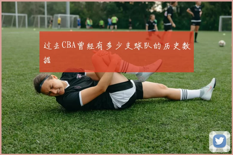 过去CBA曾经有多少支球队的历史数据