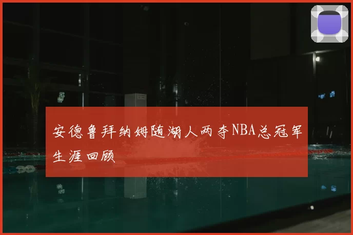 安德鲁拜纳姆随湖人两夺NBA总冠军生涯回顾