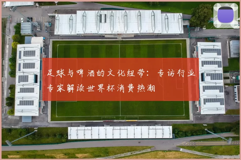 足球与啤酒的文化纽带：专访行业专家解读世界杯消费热潮