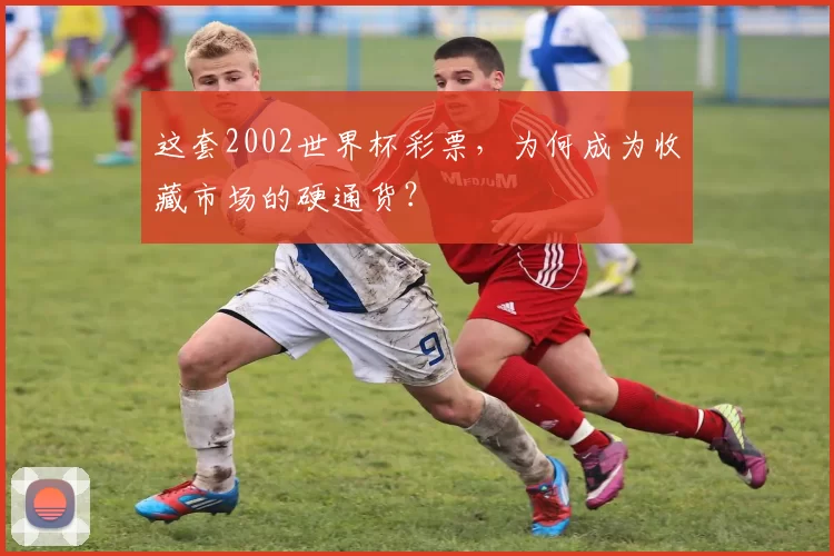 这套2002世界杯彩票,为何成为收藏市场的硬通货?