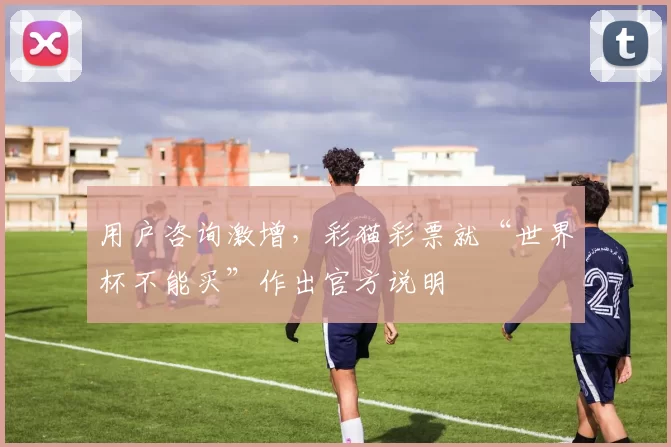 用户咨询激增，彩猫彩票就“世界杯不能买”作出官方说明