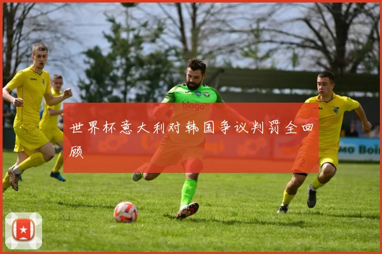 世界杯意大利对韩国争议判罚全回顾