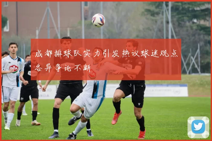 成都排球队实力引发热议球迷观点各异争论不断