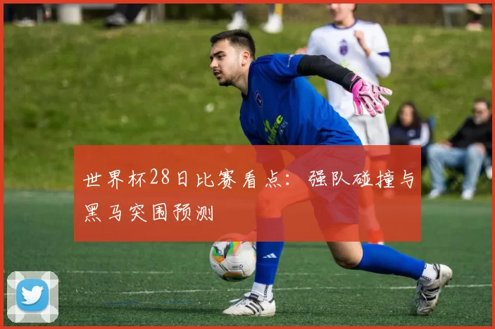 世界杯28日比赛看点:强队碰撞与黑马突围预测