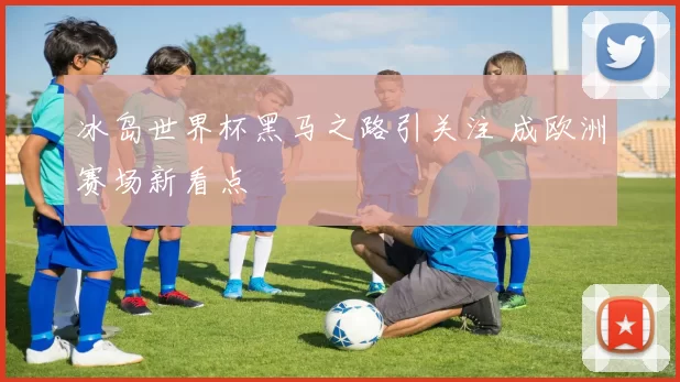 冰岛世界杯黑马之路引关注 成欧洲赛场新看点