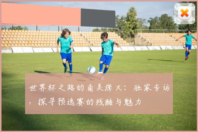 世界杯之路的南美烽火:独家专访,探寻预选赛的残酷与魅力