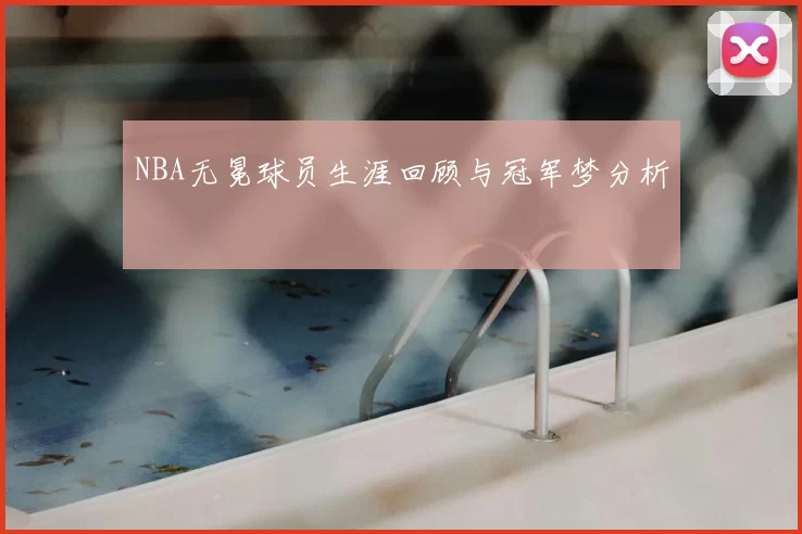 NBA无冕球员生涯回顾与冠军梦分析