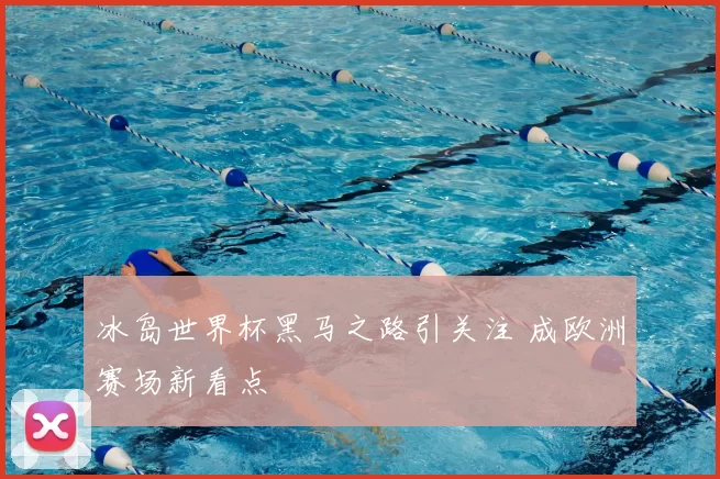 冰岛世界杯黑马之路引关注 成欧洲赛场新看点