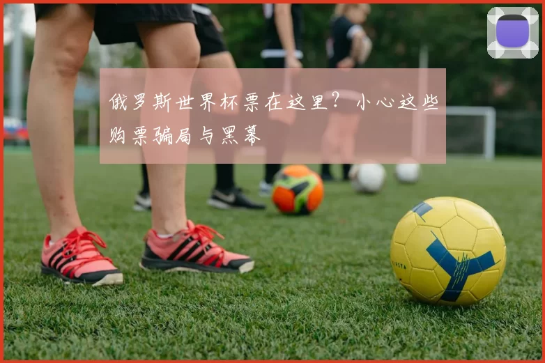俄罗斯世界杯票在这里？小心这些购票骗局与黑幕