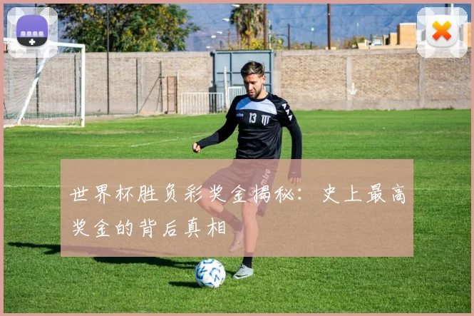世界杯胜负彩奖金揭秘:史上最高奖金的背后真相
