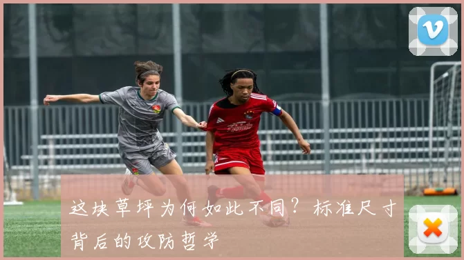 这块草坪为何如此不同？标准尺寸背后的攻防哲学