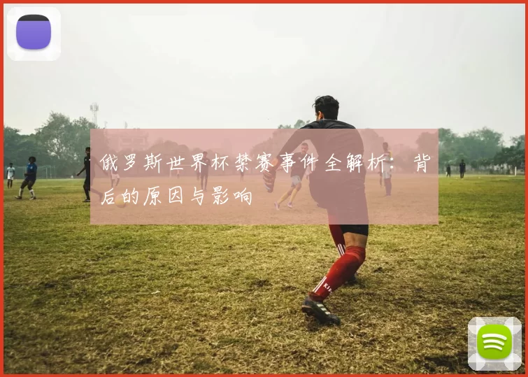俄罗斯世界杯禁赛事件全解析：背后的原因与影响